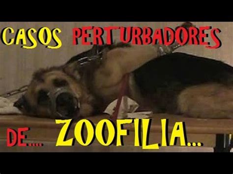 descargar videos porno de zoofilia|Zoofilia Porno .